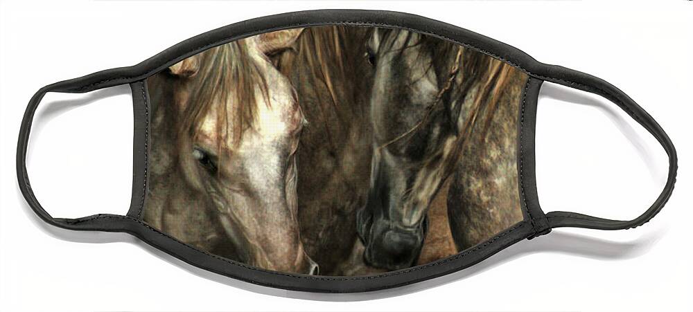 Horse Face Mask featuring the photograph Flamenco #5 by Ang El