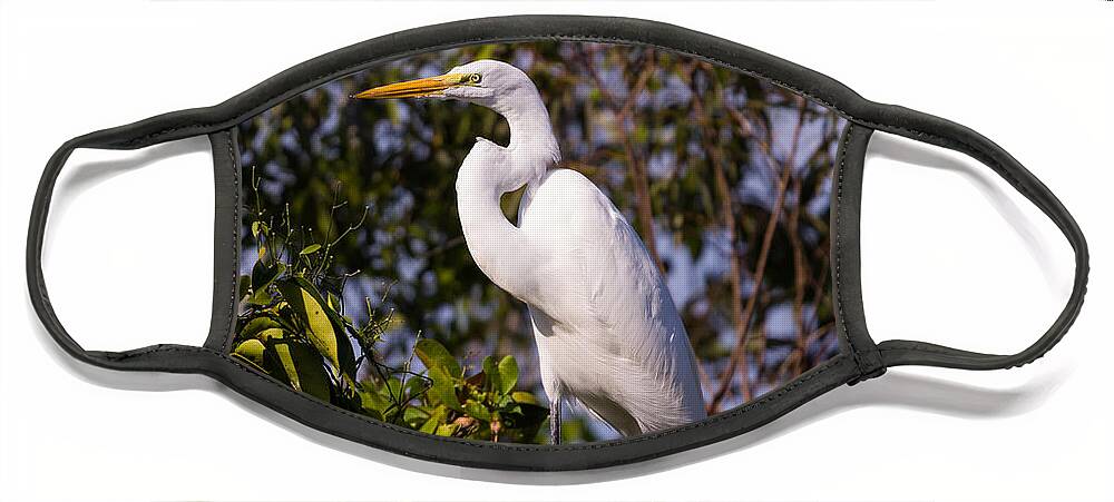 Egret Face Mask featuring the photograph Great White Egret #5 by Raul Rodriguez