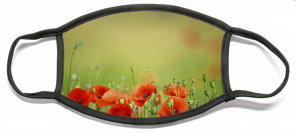 Poppy Face Mask featuring the photograph Poppy Meadow #5 by Nailia Schwarz