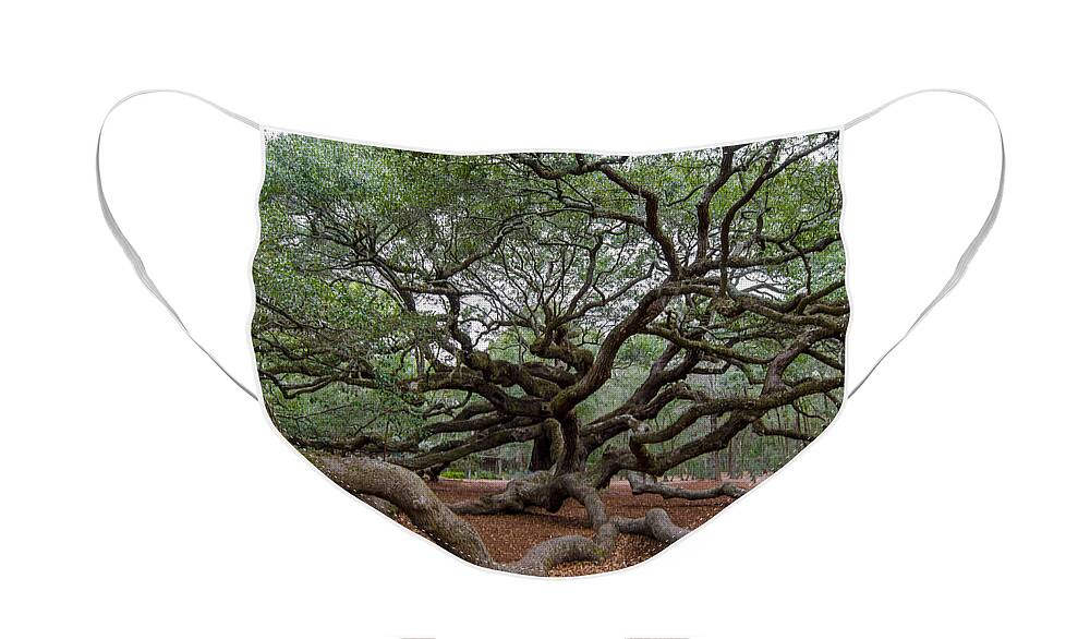 Angel Oak Tree On Johns Island Sc Face Mask featuring the photograph Mighty Branches by Dale Powell