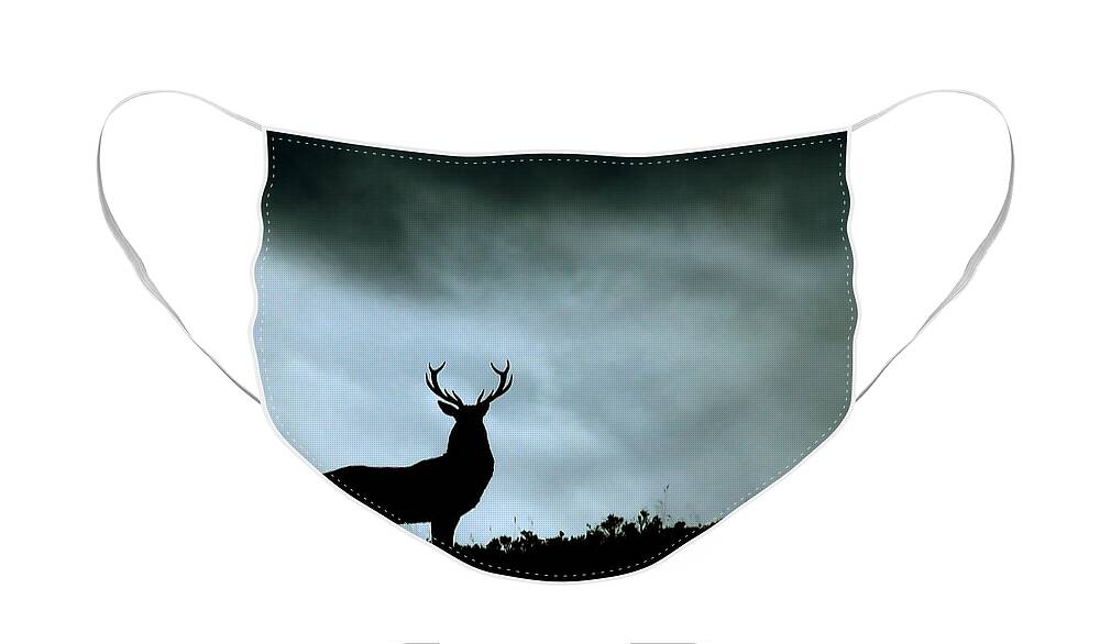 Stag Silhouette Face Mask featuring the photograph Stag silhouette #7 by Gavin Macrae