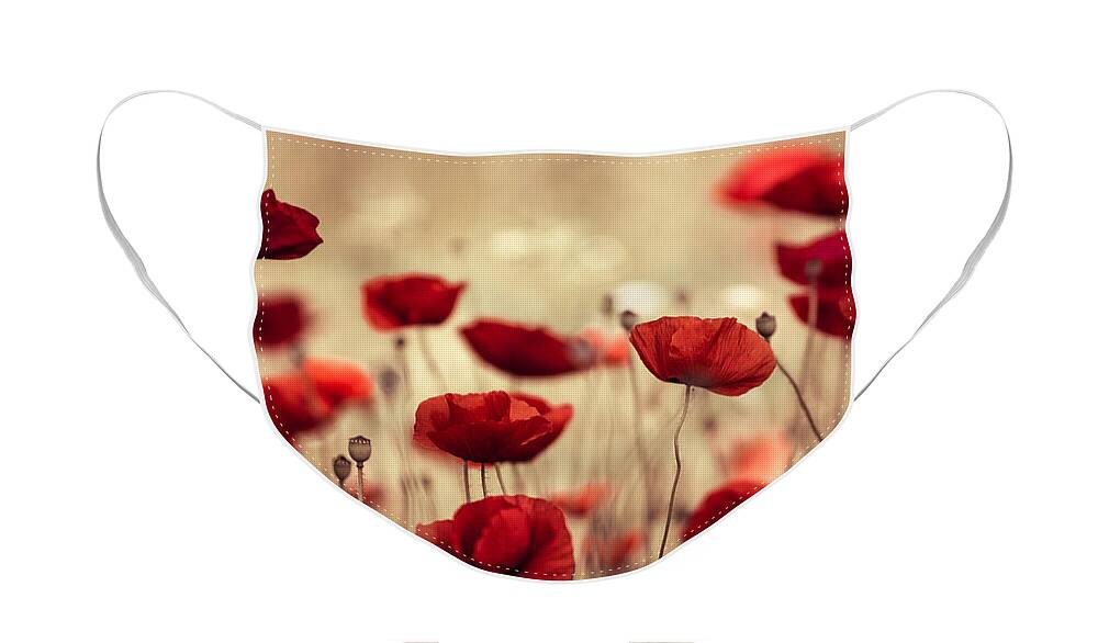 Poppy Face Mask featuring the photograph Summer Poppy by Nailia Schwarz