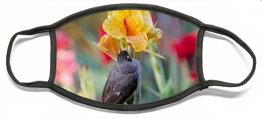 Australia Face Mask featuring the photograph A bird on iris by Agnes Caruso