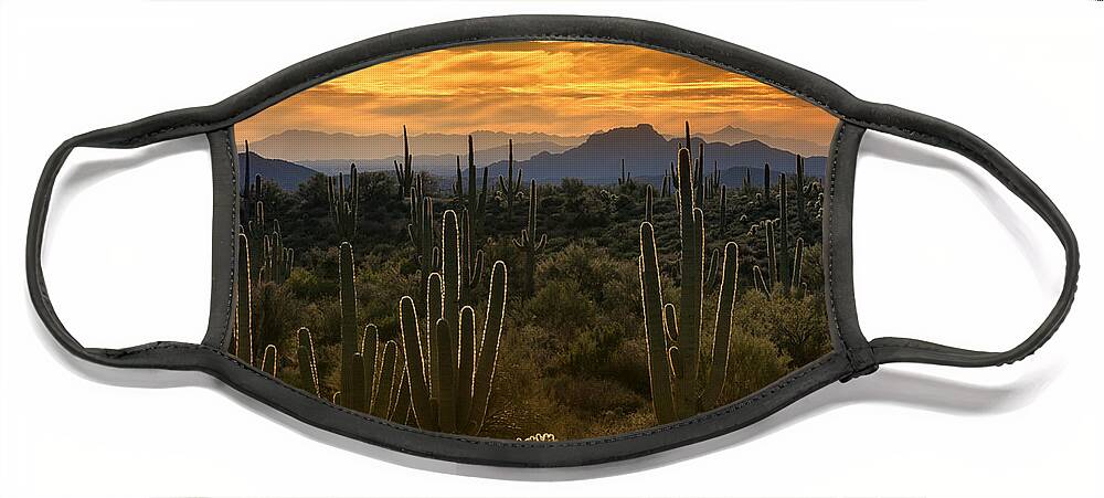 Saguaro Sunset Face Mask featuring the photograph A Golden Sonoran Sunset by Saija Lehtonen