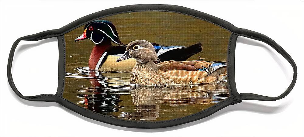 Waterfowl Face Mask featuring the photograph A Handsome Pair by Dale Kauzlaric