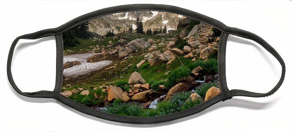 Landscapes Face Mask featuring the photograph A Stream Runs Through It by Ronda Kimbrow