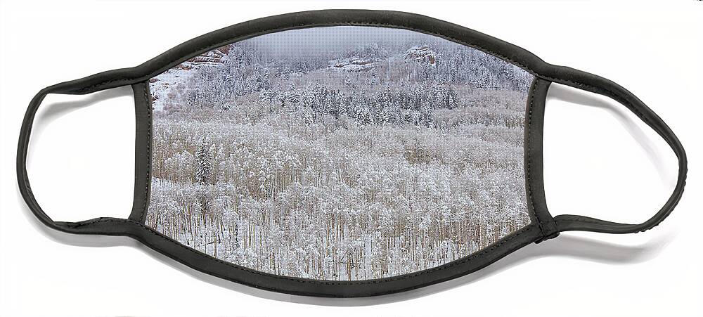  River Face Mask featuring the photograph A Winter Cabin by Darren White