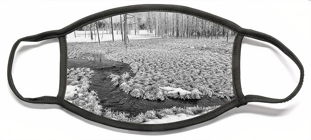 B & W Face Mask featuring the photograph A Winter's Afternoon in Yellowstone by Sandra Bronstein