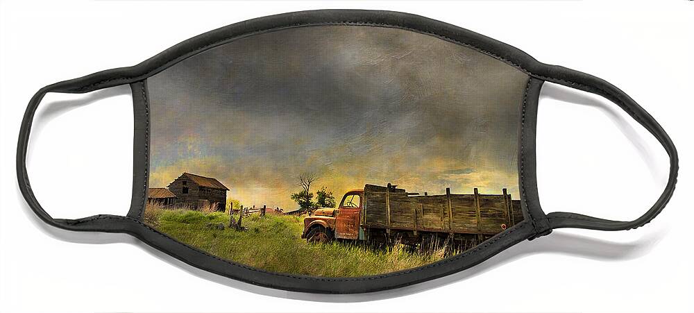 Dodge Face Mask featuring the photograph Abandoned Farm Truck by Theresa Tahara