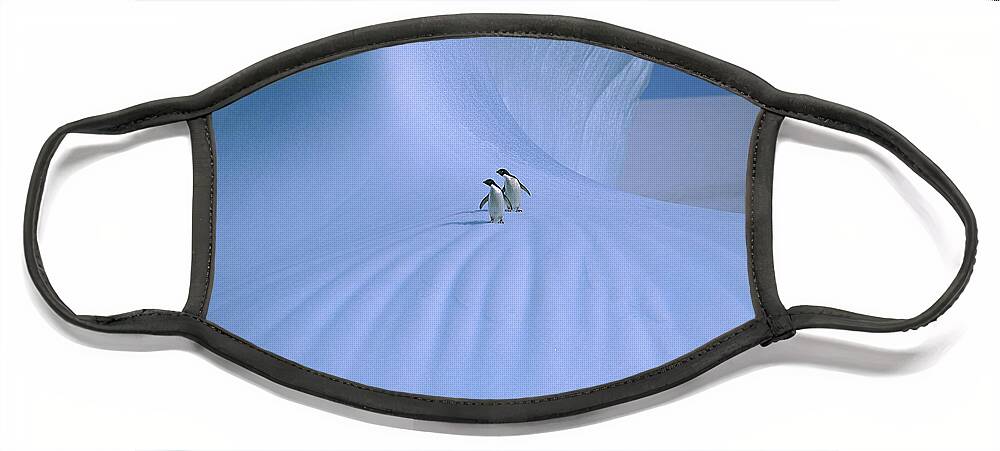 Feb0514 Face Mask featuring the photograph Adelie Penguins On Iceberg Antarctica by Peter Sinden