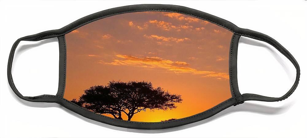 Africa Face Mask featuring the photograph African Sunset by Sebastian Musial