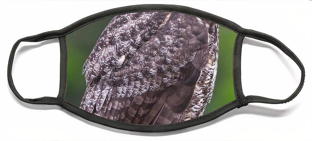 Wildlife Face Mask featuring the digital art Alaskan Owl by National Park Service