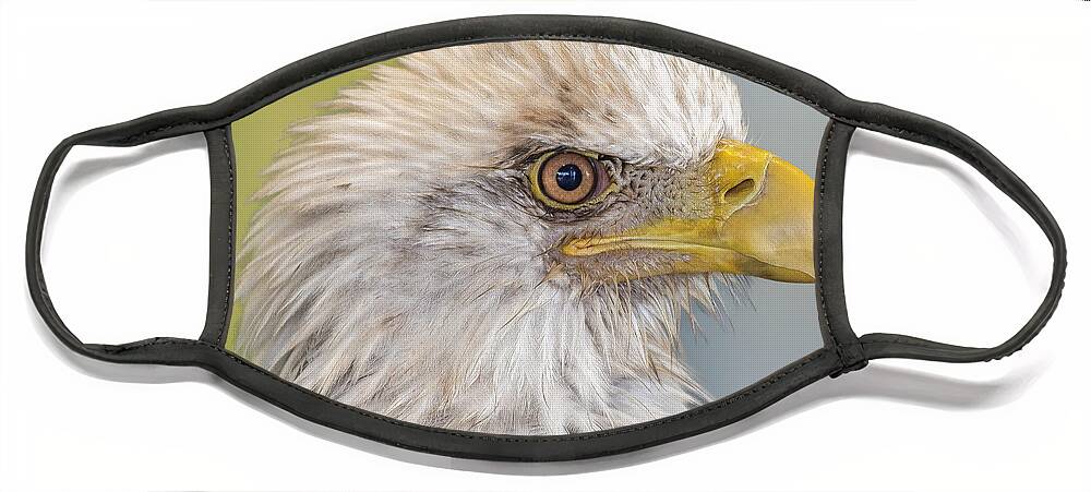 Eagle Face Mask featuring the photograph All Feathers And Additude by Bill and Linda Tiepelman