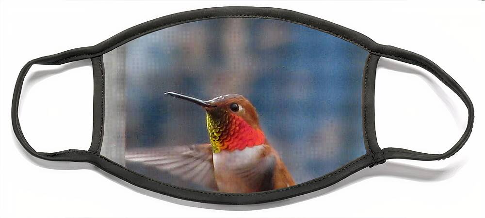 Hummingbirds Face Mask featuring the photograph Always Remember Your Joy by Rory Siegel