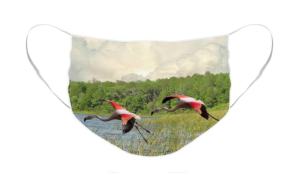 Flamingo Face Mask featuring the digital art American Flamingo Pair by M Spadecaller
