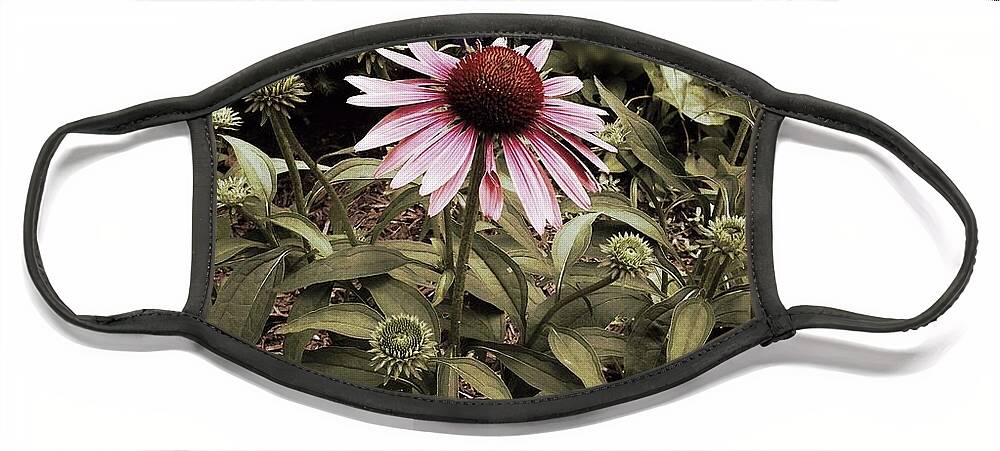 Cone Flowers Face Mask featuring the photograph Among Friends by Frank J Casella