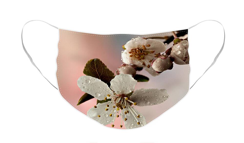 Anther Face Mask featuring the photograph Announcing Spring by Mary Jo Allen