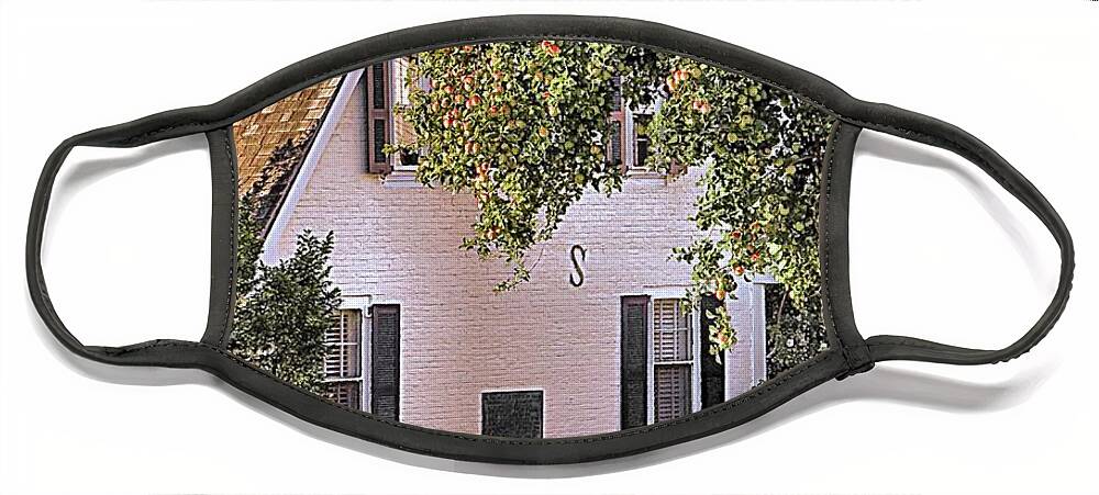 Apple Tree Face Mask featuring the photograph Apple Tree by Janice Drew