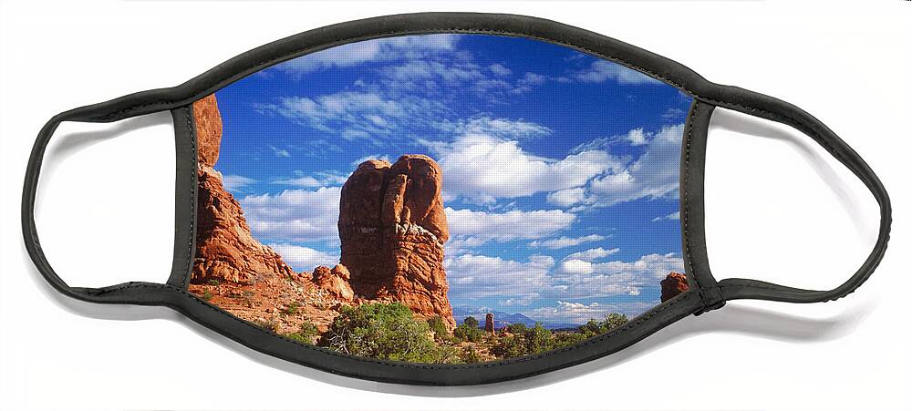 Arches National Park Face Mask featuring the photograph Arches National Park by James Steinberg
