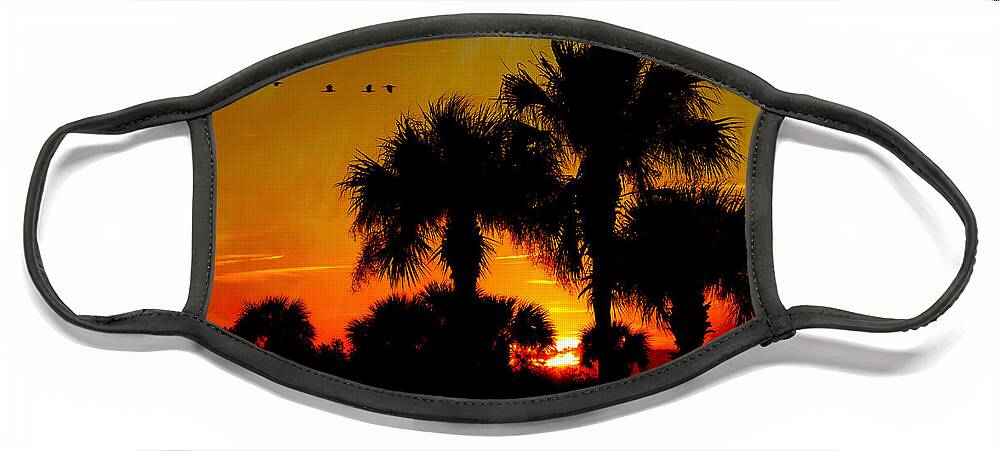 Sunset Face Mask featuring the digital art Artistic Florida Sunset by Jayne Carney