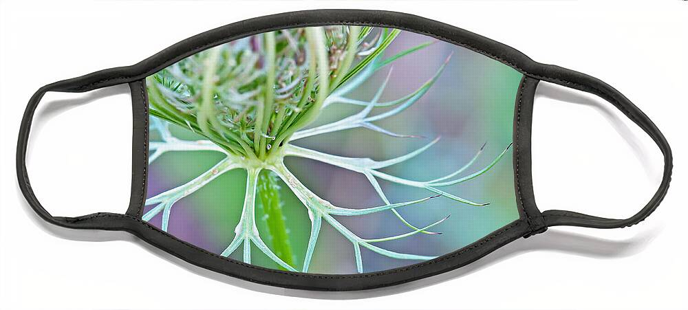 Wildflower Photography Face Mask featuring the photograph Artsy Pastal Wildflower by Gwen Gibson