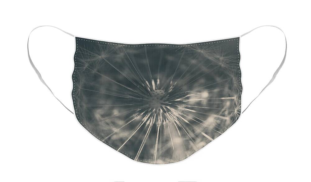 Dandelions Face Mask featuring the photograph As Long as the Sun Still Shines by Laurie Search