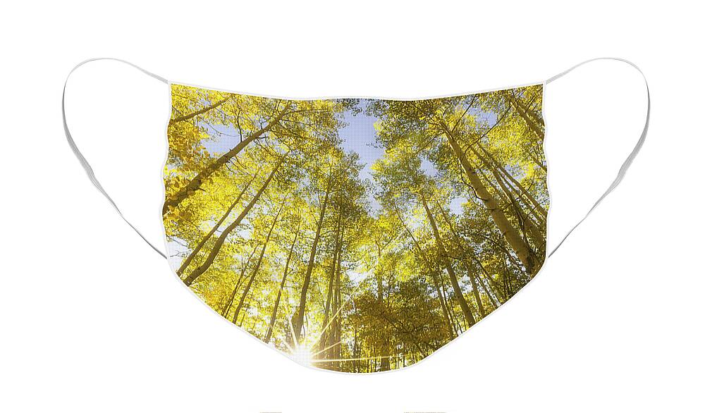 Aspens Face Mask featuring the photograph Aspen Day Dreams by Darren White