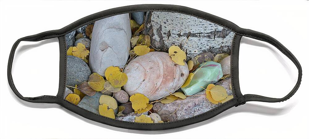 Aspen Face Mask featuring the photograph Aspen Leaves on the Rocks by Dorrene BrownButterfield
