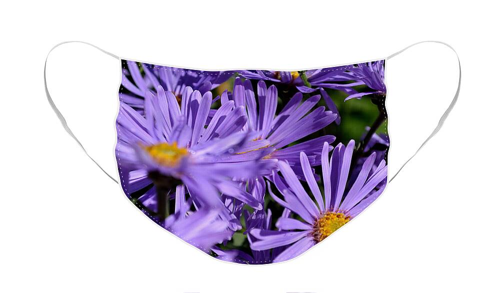 Green Face Mask featuring the photograph Asters after the rain by Scott Lyons