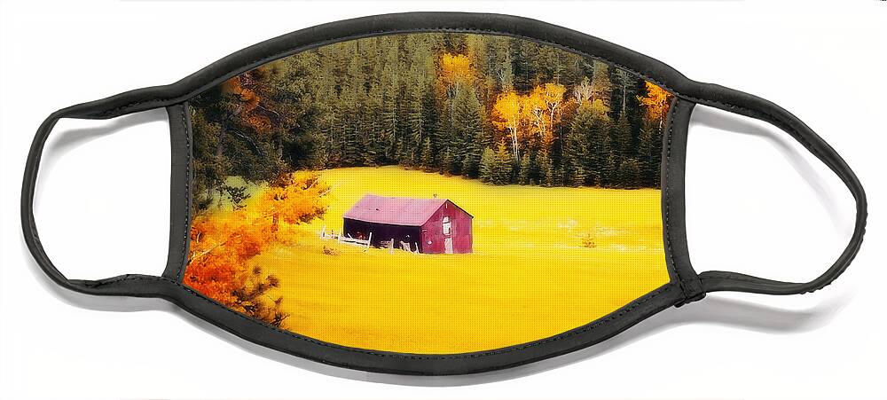 Autumn Face Mask featuring the photograph Fall on a South Dakota Meadow by Amanda Smith