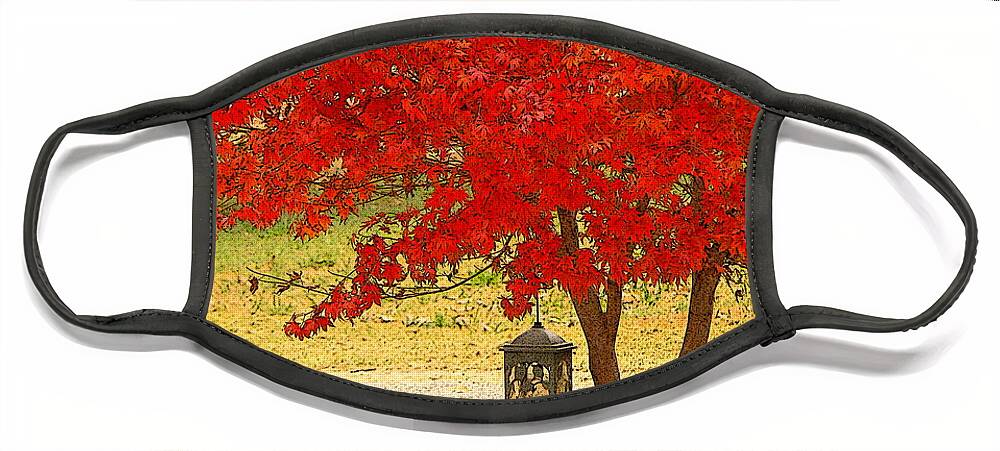 Fine Art Face Mask featuring the photograph Autumn by The Road by Rodney Lee Williams