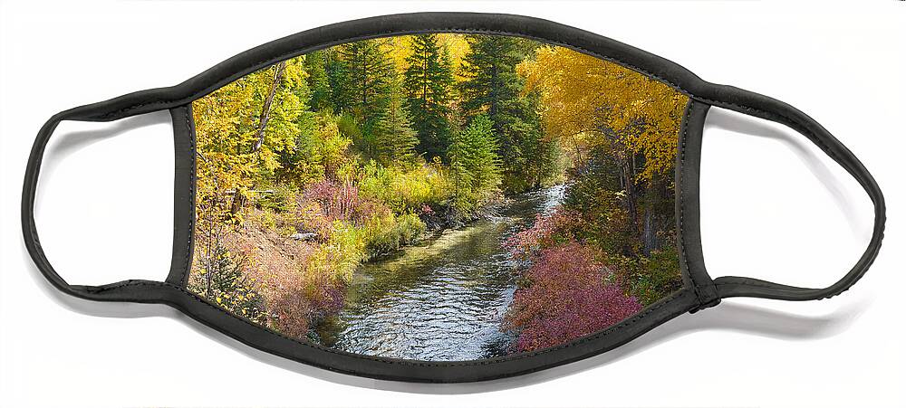 Dakota Face Mask featuring the photograph Autumn Color Along Spearfish Creek by Greni Graph