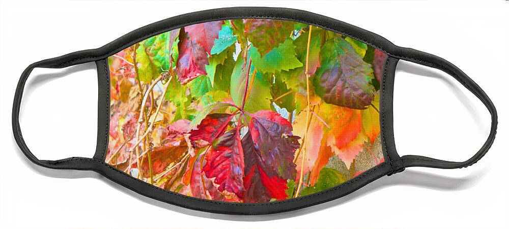 Autumn Face Mask featuring the photograph Autumn Colors of Virginia Creeper by Kristin Hatt