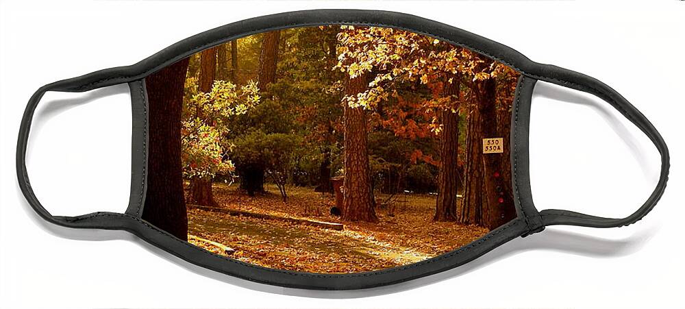 Evening Scenery Face Mask featuring the photograph Autumn Country Lane Evening by Michele Myers