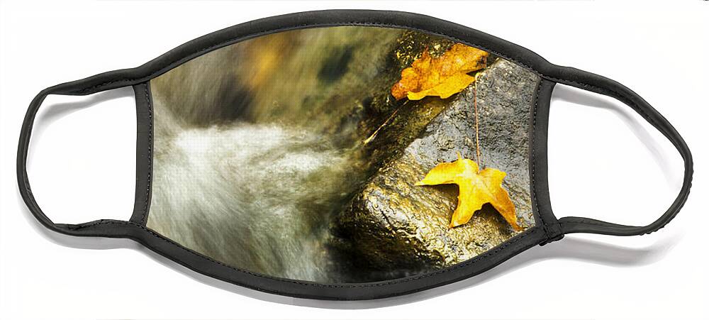 Autumn Face Mask featuring the photograph Autumn Creek by Christina Rollo