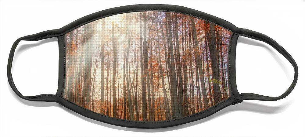 Autumn Face Mask featuring the photograph Autumn Cypress - Fall - Trees by Jason Politte