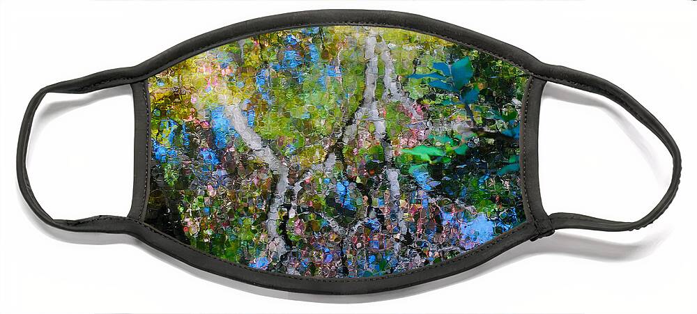 Water Face Mask featuring the photograph Autumn Garden Reflections 2 by Nancy Mueller