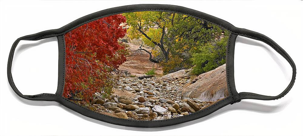 Feb0514 Face Mask featuring the photograph Autumn Maple And Cottonwood Zion by Tim Fitzharris