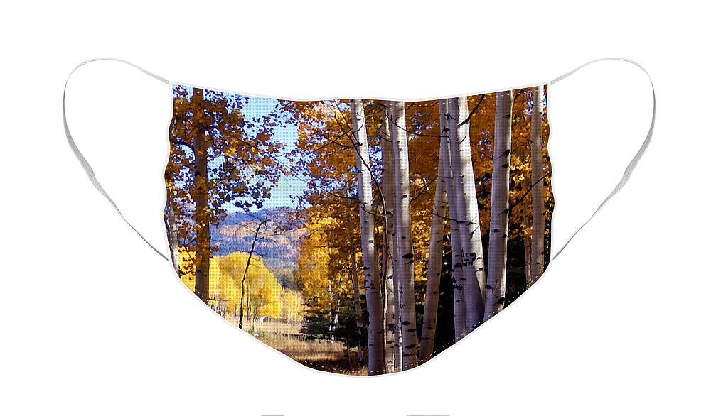 Trees Face Mask featuring the photograph Autumn Paint Chama New Mexico by Kurt Van Wagner
