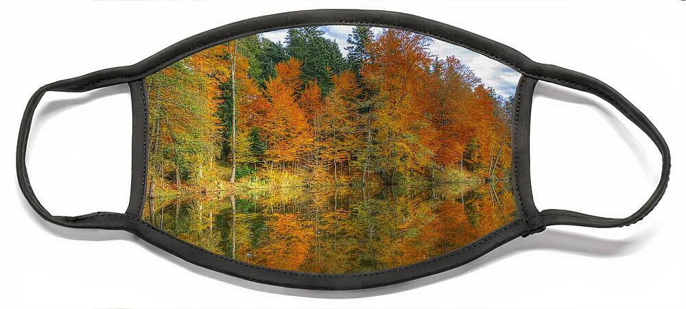 Autumn Face Mask featuring the photograph Autumn reflection by Ivan Slosar
