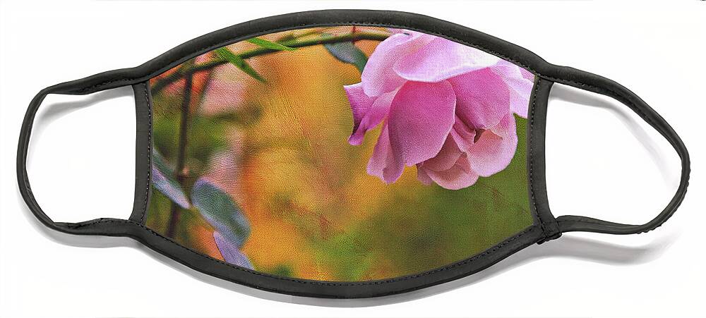 Rose Face Mask featuring the photograph Autumn Rose by Theresa Tahara