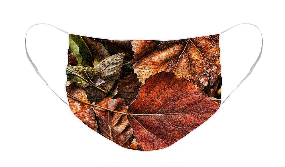 Autumn Face Mask featuring the photograph Autumn Rust by Steve Sullivan