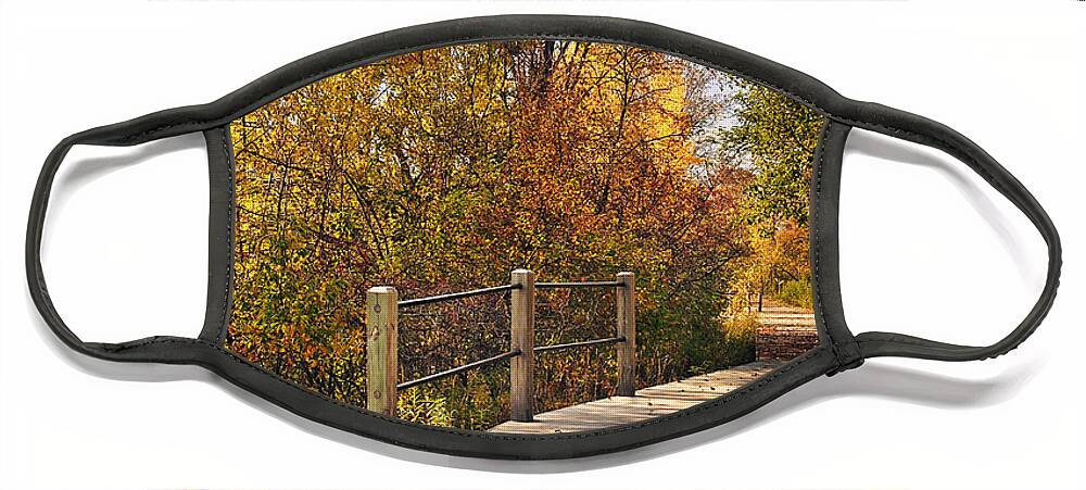 Autumn Picture Face Mask featuring the photograph Autumn Stroll Fall Portrait by Gwen Gibson