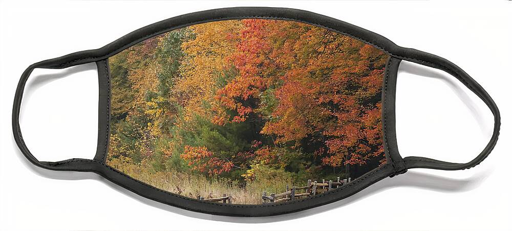 Appalacia Face Mask featuring the photograph Autumn Trees and Fence by Jo Ann Tomaselli