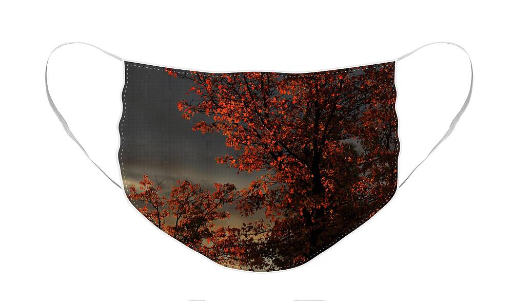 Autumn Face Mask featuring the photograph Autumn's First Light by James Eddy