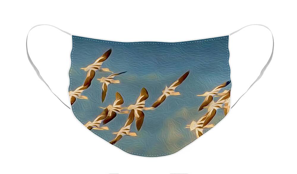 American Avocet Face Mask featuring the photograph Avocet Art by Alice Cahill