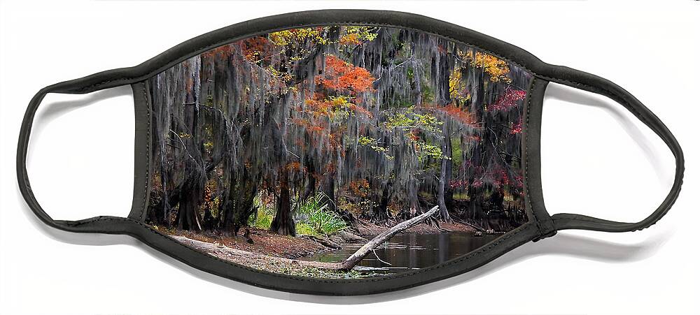 Autumn Face Mask featuring the photograph Backwater Autumn 2 by Lana Trussell