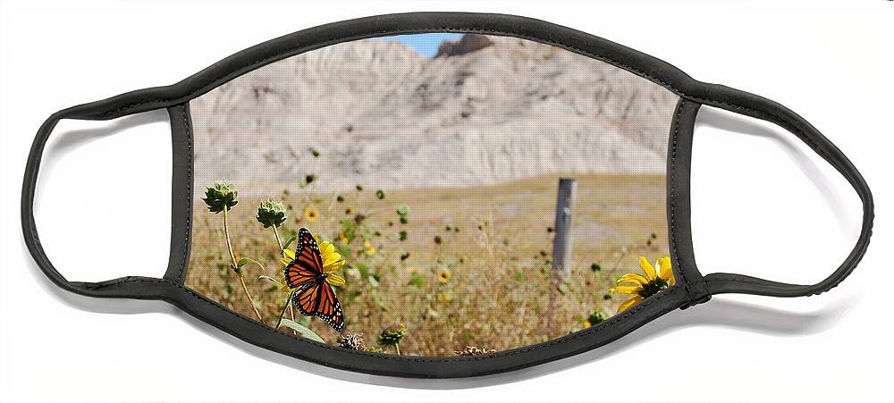 Dakota Face Mask featuring the photograph Badlands Butterfly by Greni Graph