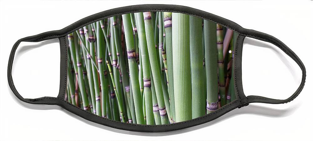 Bamboo Face Mask featuring the photograph Bamboo by HEVi FineArt