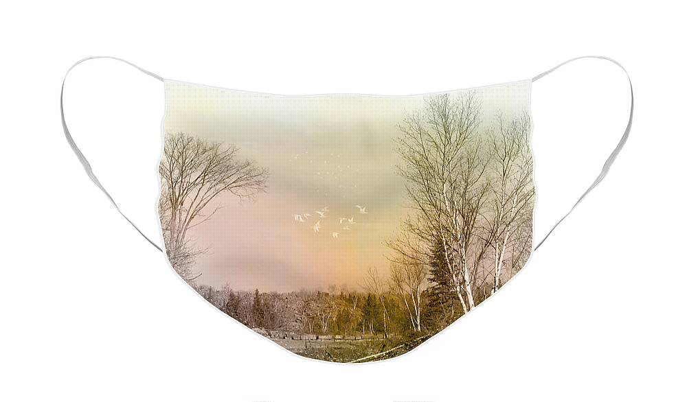 Evie Face Mask featuring the photograph Barbeau Michigan by Evie Carrier